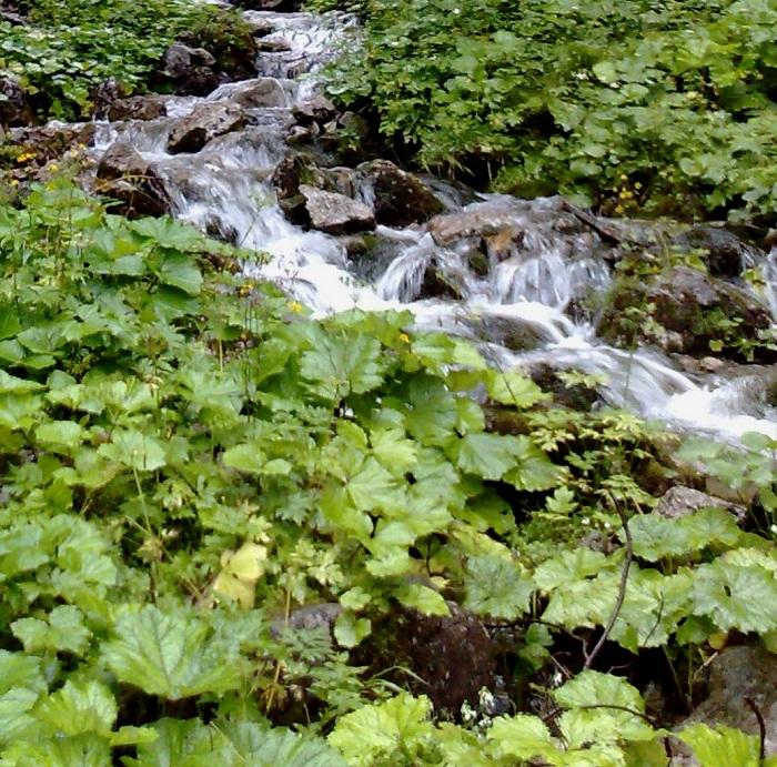 20110730026.jpg