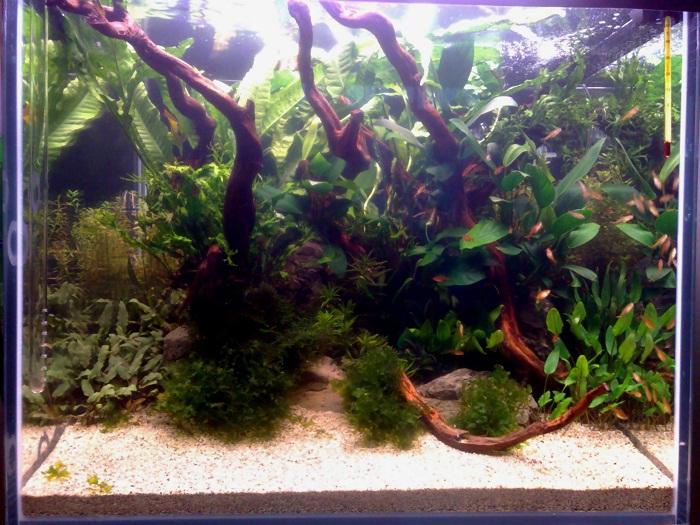 20110918162.jpg