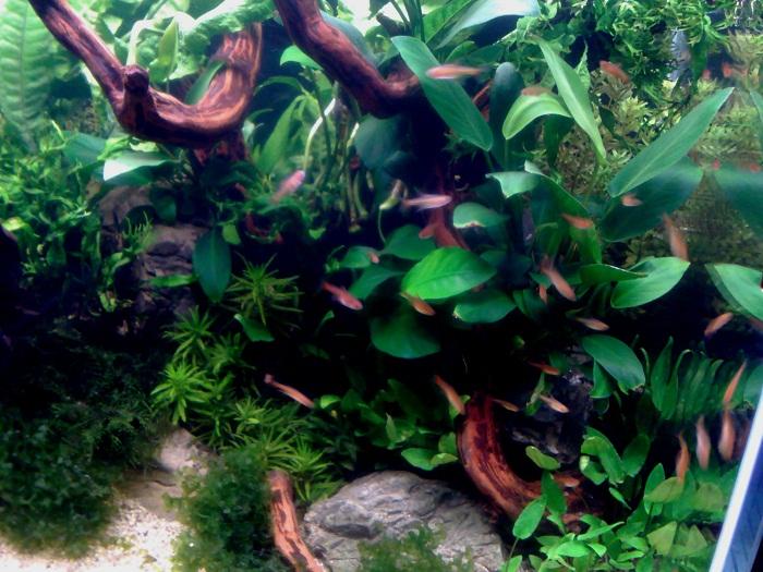 20110918168.jpg