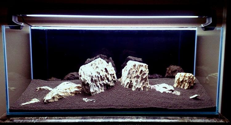 20111011222.jpg