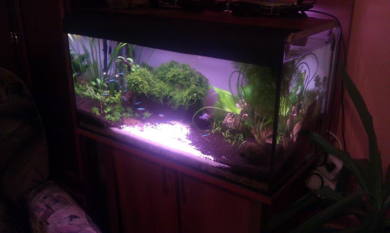 20111015_A.jpg