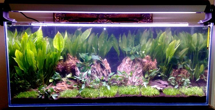 20111019232.jpg