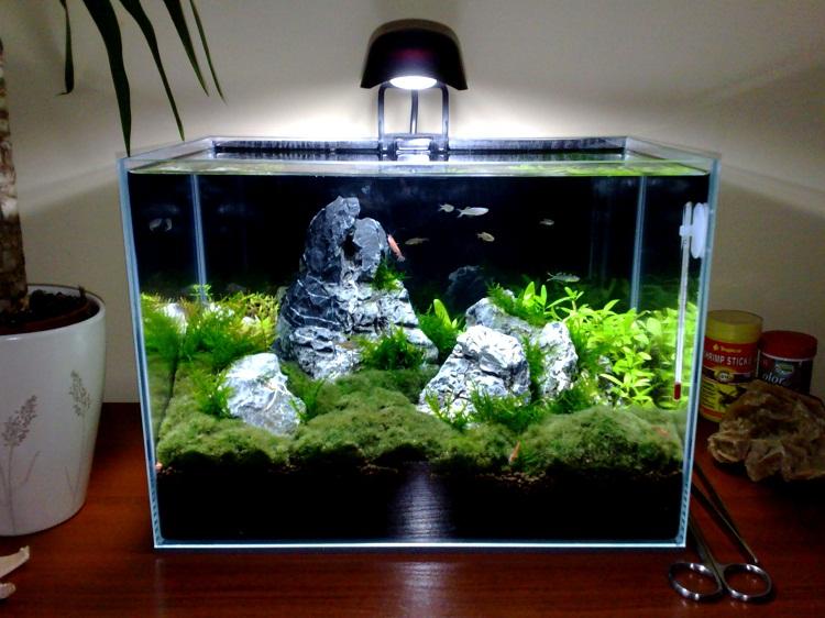 20111023242.jpg