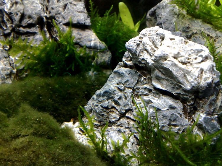 20111023244.jpg