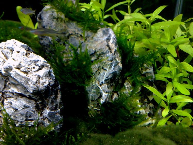 20111023245.jpg