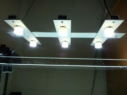 20111028_155350.jpg