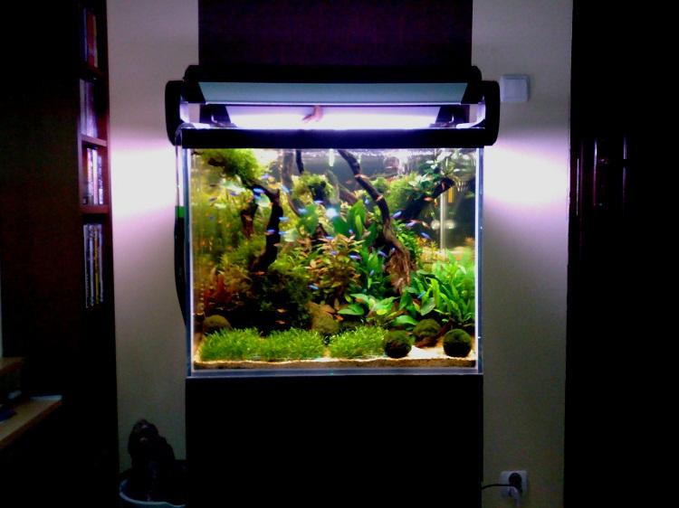 20111031271.jpg