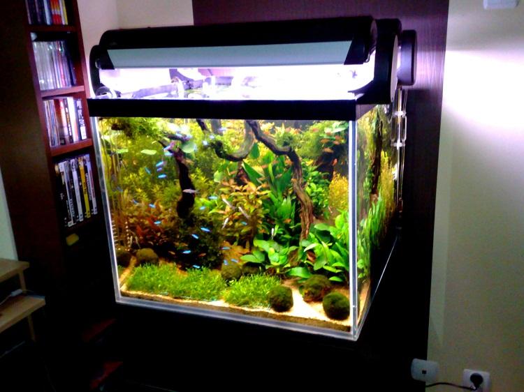 20111031275.jpg