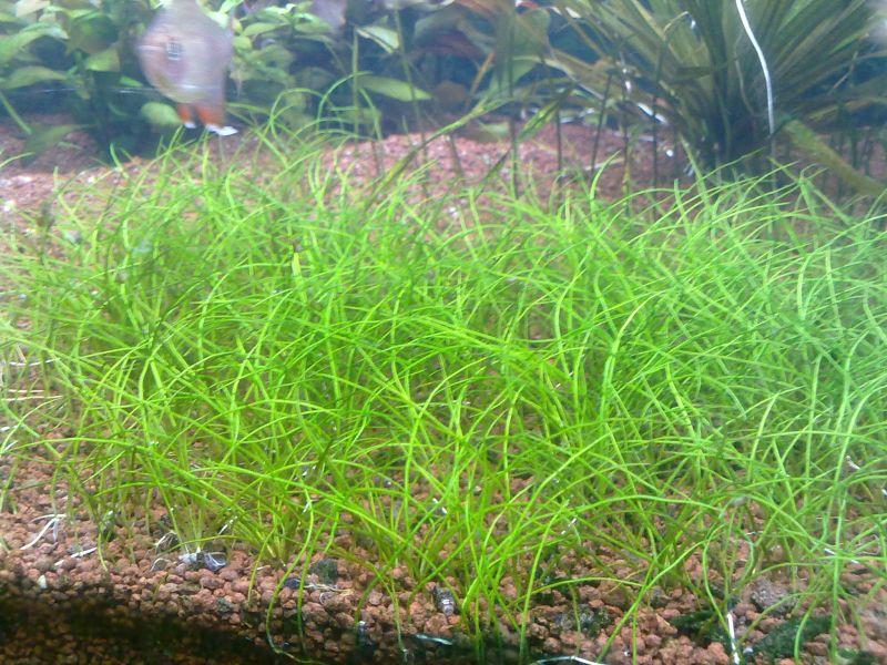 20111101643.jpg