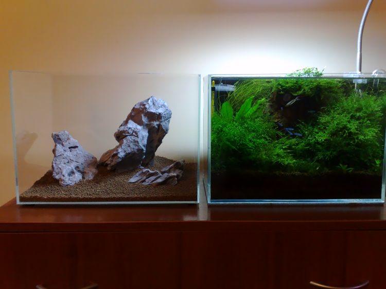 20111214355.jpg