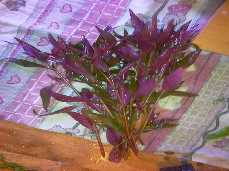 20111224063.jpg