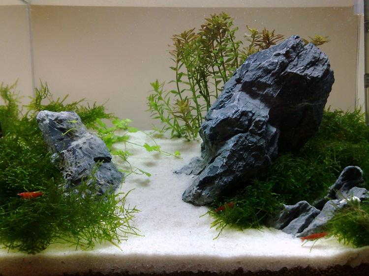 20111225359.jpg