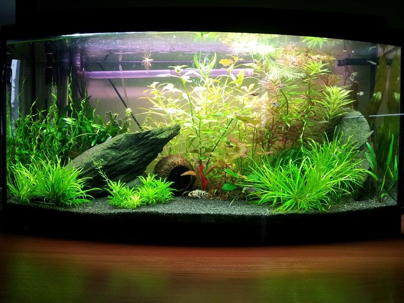 2011-07-01 15.46.54_small.jpg