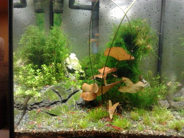 2011-10-29 20.34.10.jpg