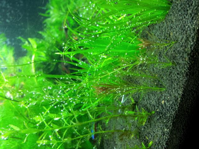 2011-12-09 22.30.53.jpg