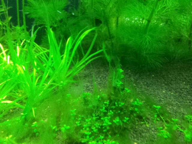 2011-12-15 19.34.33.jpg