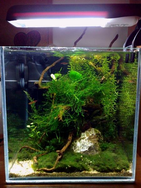 20120108367.jpg