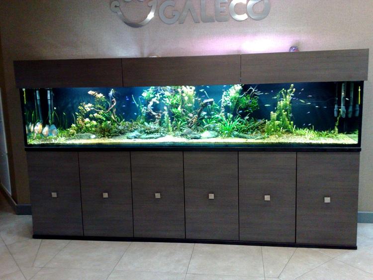 20120109372.jpg