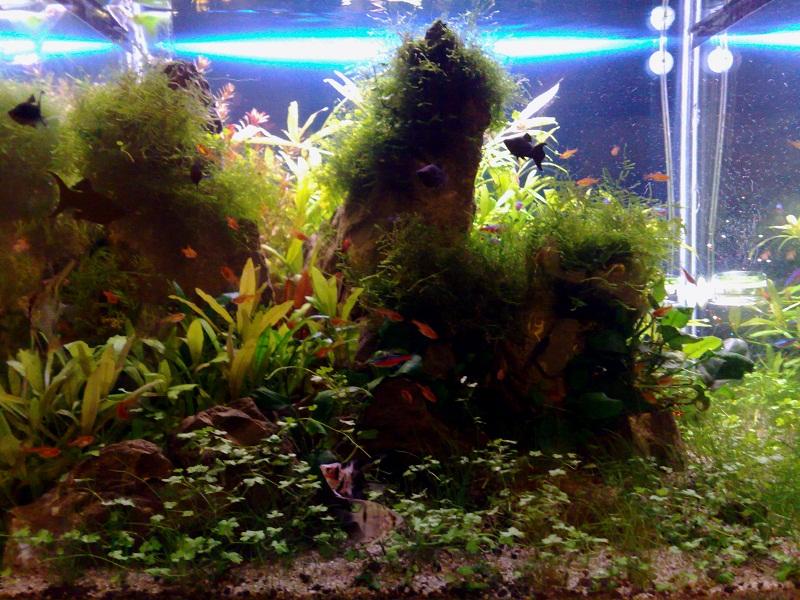 20120114390.jpg