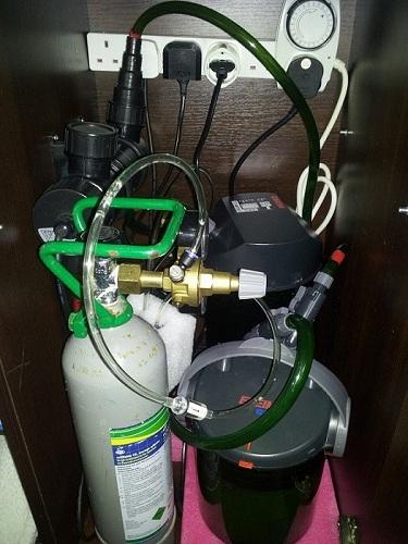 20120128_105952.jpg