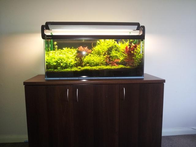 20120128_113815.jpg
