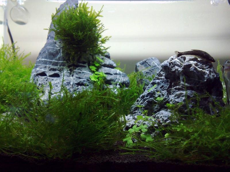 20120204412.jpg