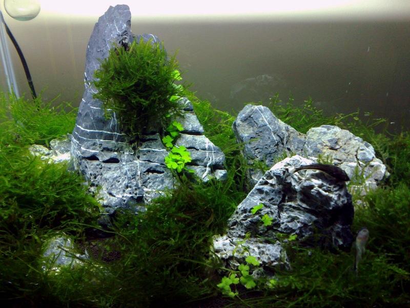 20120204416.jpg