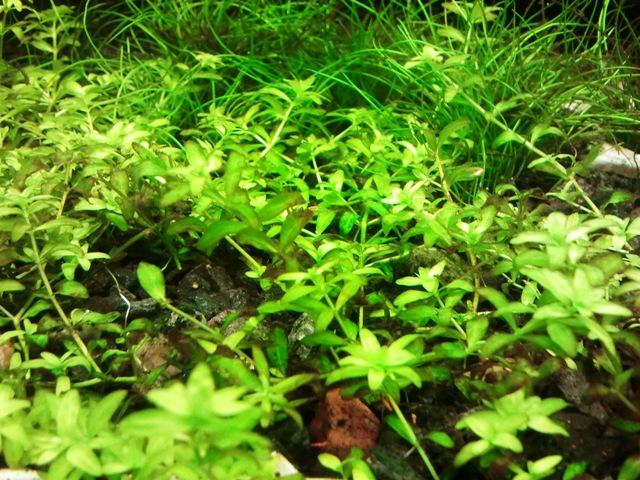 20120607_194527.jpg