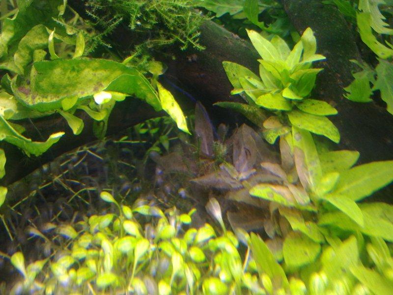 20120828505.jpg