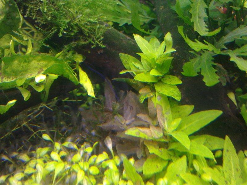 20120828506.jpg