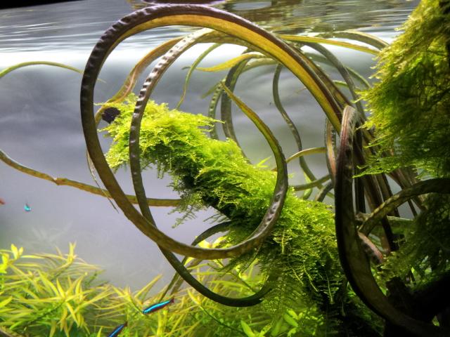 20120918_185247.jpg