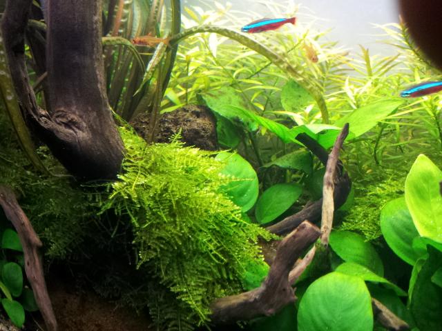 20120918_185251.jpg