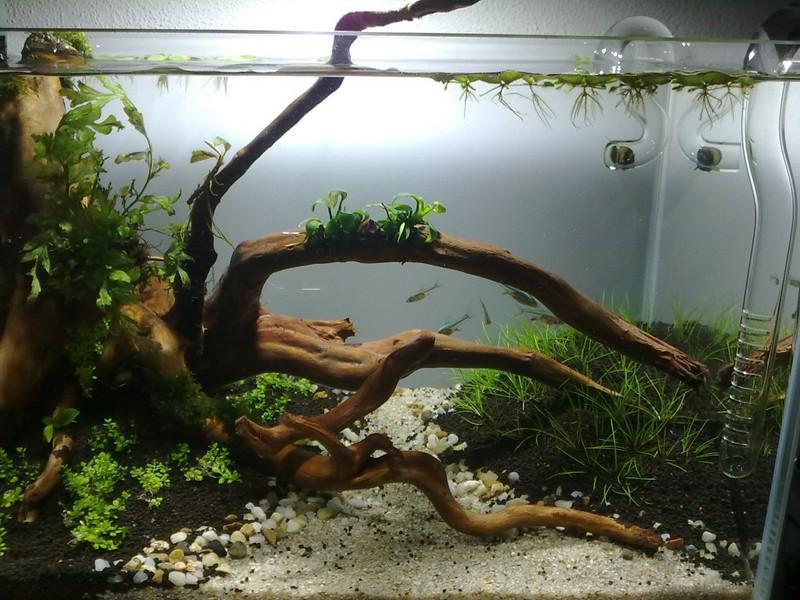 20120929821.jpg