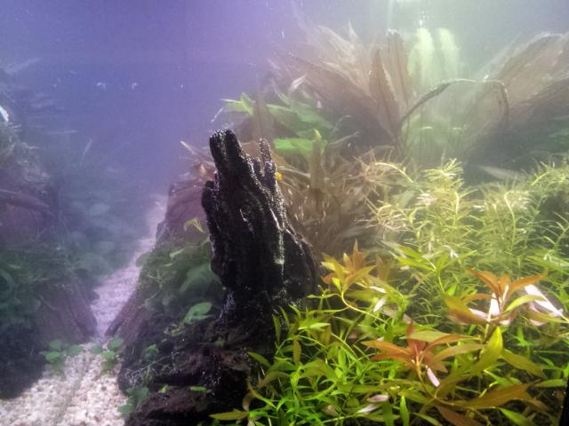 20121031_165356.jpg