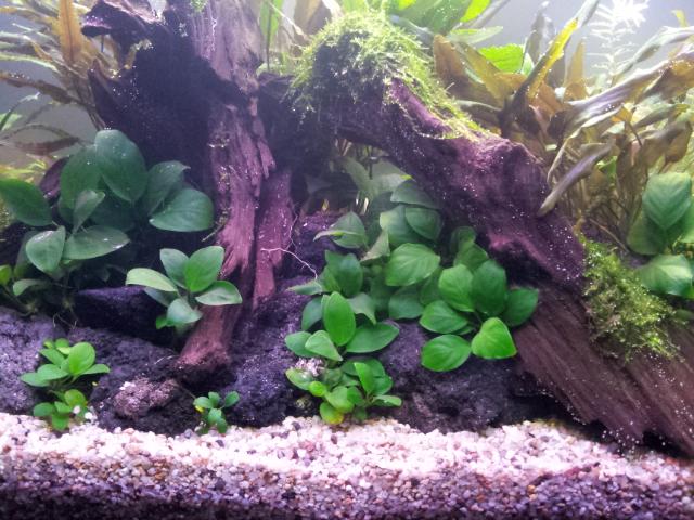 20121031_185514.jpg