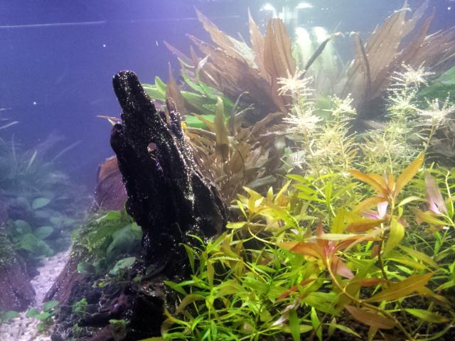 20121031_185543.jpg