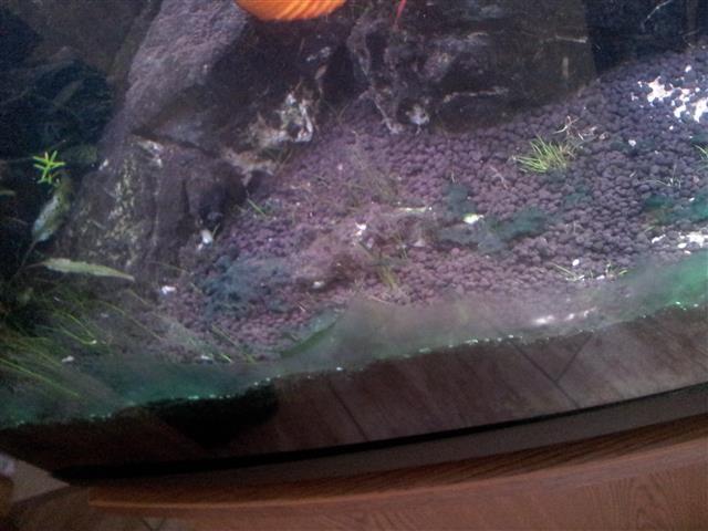 20121231_125131.jpg
