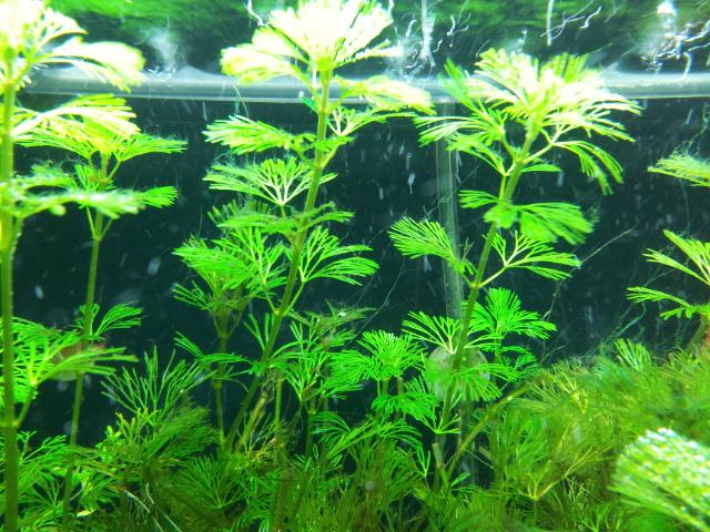 2012-01-14 21.51.17.jpg