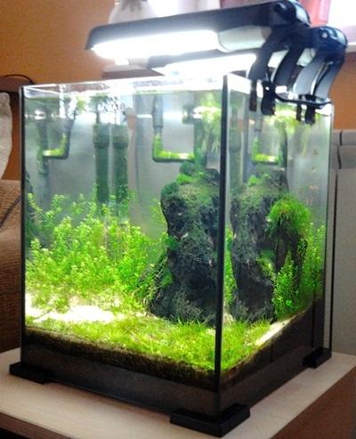 2012-03-03 13.34.05.jpg