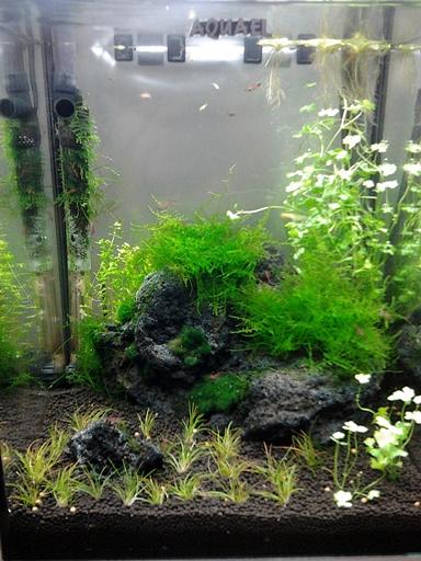 2012-08-02 13.29.08.jpg