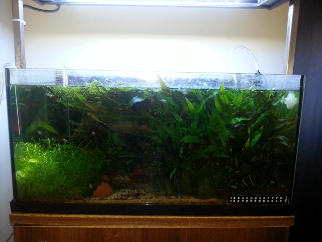 2012-09-30 10.49.49.jpg