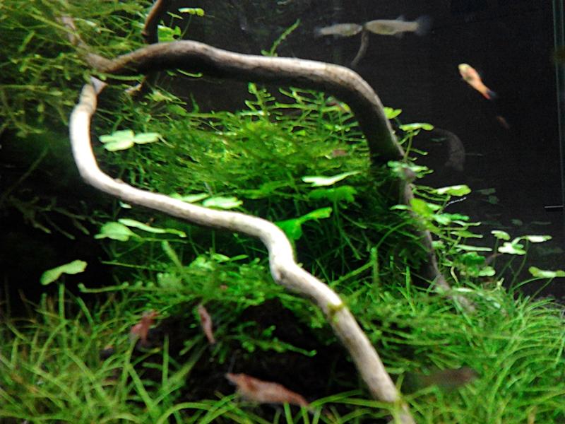 2012-11-30 18.05.26.jpg