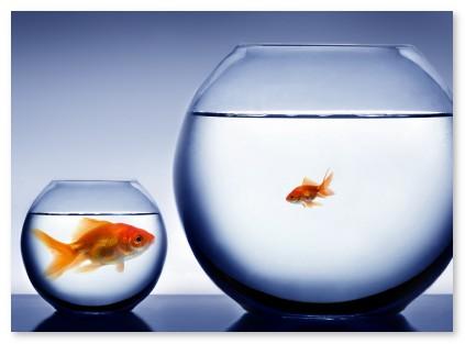 2012-blog-bim-too-big.jpg