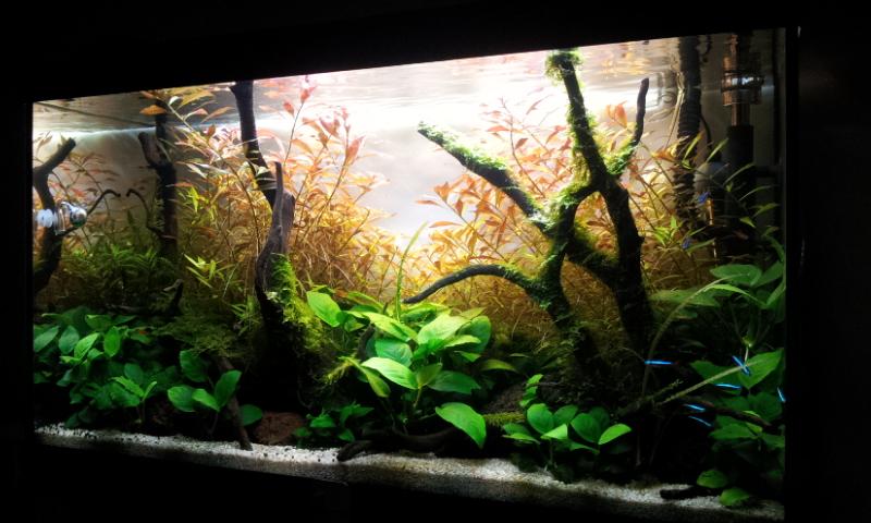 20130111_200140.jpg