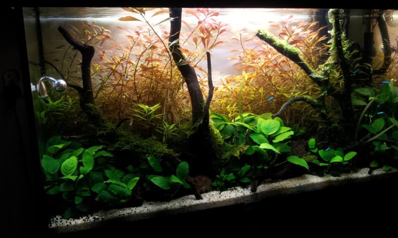 20130111_200357.jpg