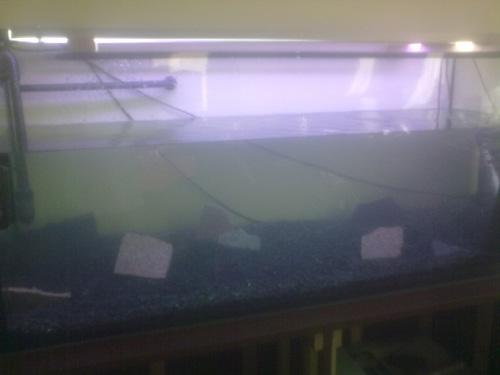20130226006.jpg