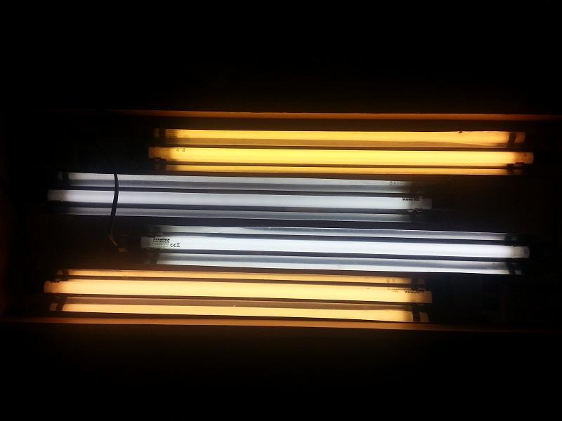 20130327_171316.jpg