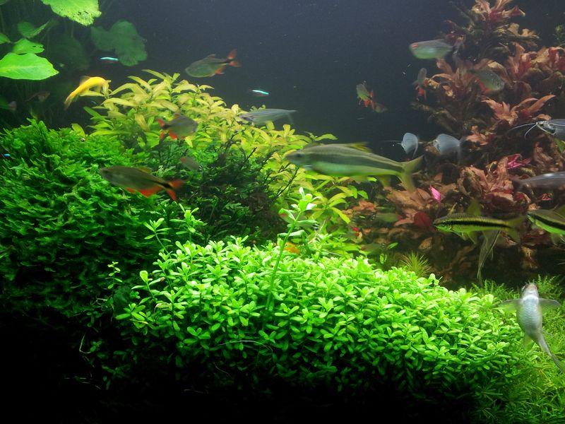 20130327_200508 [800x600].jpg