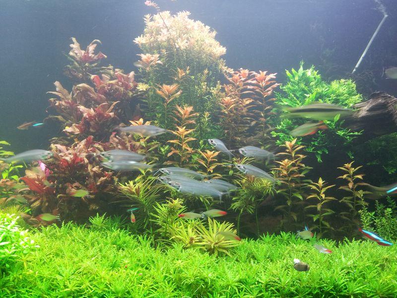 20130327_200648 [800x600].jpg