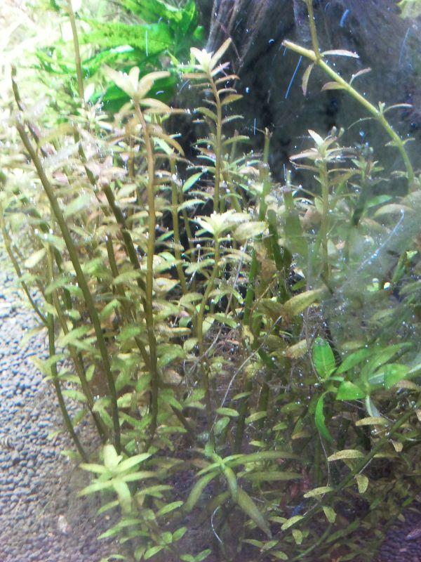 2013-01-22 17.52.56.jpg